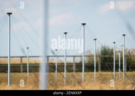 Das LOFAR-Radioteleskop (Low Frequency Array) am Chilbolton Observatory des Science and Technology Facilities Council, Hampshire. Stockfoto