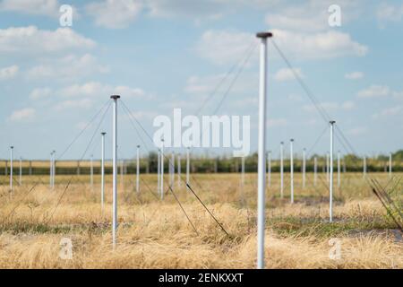 Das LOFAR-Radioteleskop (Low Frequency Array) am Chilbolton Observatory des Science and Technology Facilities Council, Hampshire. Stockfoto