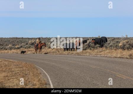 Eine aufregende Fahrt, gefolgt von ein paar Stunden Erkundung in dieser wunderschönen abgelegenen Landschaft namens Echo Park. Stockfoto