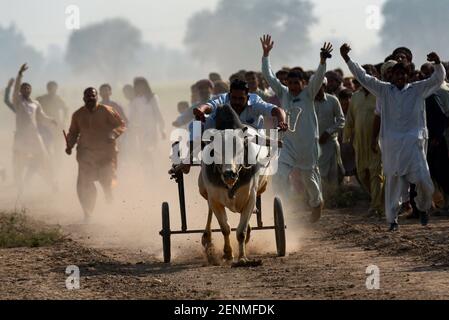 (2/23/2021) Pakistanischer Bauer führt seine Bullen Cart, während er in einem traditionellen Bullen Cart Rennen während der jährlichen Urs von Syed Mardan Shah Bukhari in der Nähe des Dorfes Jahanian Bezirk Khanewal etwa 450km von Lahore in einer ländlichen Ecke von Pakistan am 23. Februar konkurriert, 2021.rund 200 Paar Bullen Cart aus verschiedenen ländlichen Gebieten Pakistans nehmen an der traditionellen Bulle Cart Rennen" auf einem 400 Meter langen Feld organisiert, wo die Bauern konkurrierten um die schnellste Racer, um die Ziellinie zu erreichen, um den Geldpreis zu gewinnen. Joked zusammen mit schweren Holzrahmen genannt "Joots", die Jockey-Fahrt Stockfoto