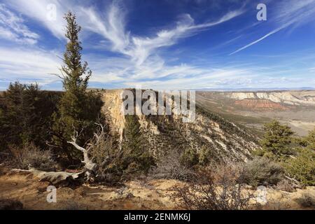 Dinosaur National Monument feiert Flüsse, Schluchten und Fossilien. Stockfoto