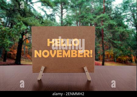 Hallo November Text auf Karte auf dem Tisch mit Pinienwald Hintergrund. Stockfoto