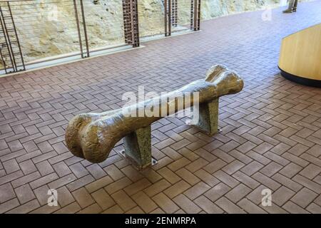 Dinosaur National Monument feiert Flüsse, Schluchten und Fossilien. Stockfoto