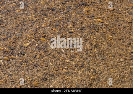 Ein Bachbett voller Steine Steine Kieselsteine und Sand Unter klarem Flachwasser mit der Sonne, die auf dem reflektiert Wellen der Oberfläche auf einem hellen sonnigen da Stockfoto