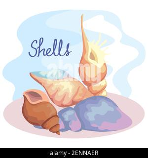 Vier Muschelfarben setzen Szene und Schriftzug Stock Vektor
