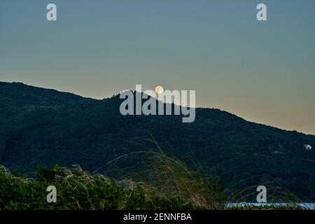 Vollmond, der über der wunderschönen Landschaft eines Berges aufsteigt Grat mit dichtem grünen Wald bei Sonnenuntergang in der Dämmerung Bei lagoinha do leste auf Santa Catarina Stockfoto