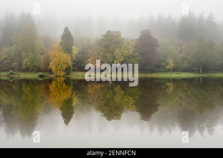 Herbstfarben spiegeln sich in den ruhigen Gewässern des Shearwater Lake, Wiltshire, Großbritannien. Stockfoto