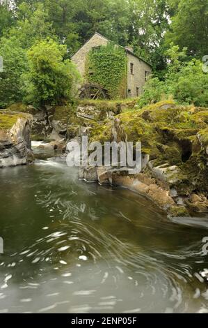 Eine alte Mühle mit dem Fluss Teifi fließt darunter in Cenarth, Carmarthenshire, Wales. Stockfoto