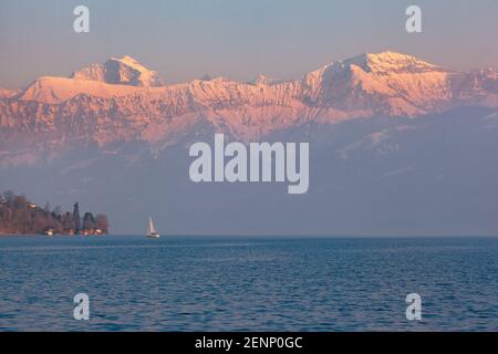 Segelboot auf dem See Thun, Schweiz Stockfoto