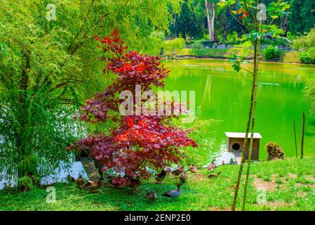 Shekvetili Dendrologischer Park Stockfoto