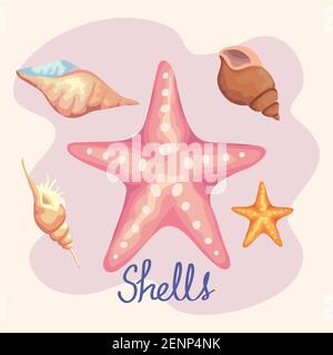 Fünf Muschelfarben setzen Symbole und Schriftzüge Stock Vektor