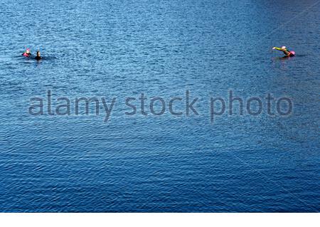 Edinburgh, Schottland, Großbritannien. Februar 2021, 26th. Wildes Schwimmen in der Forth Estuary in Wardie Bay an einem kalten und sonnigen späten Nachmittag. Kredit: Craig Brown/Alamy Live Nachrichten Stockfoto