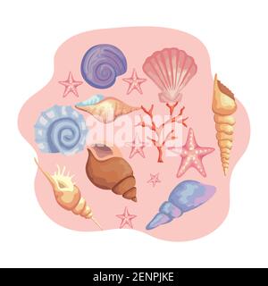 Bündel von Muscheln Farben setzen Symbole Stock Vektor