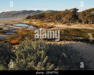 Sonnenuntergang in Pismo Beach in der Nähe des Ozeans Stockfoto