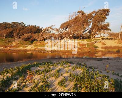 Sonnenuntergang in Pismo Beach in der Nähe des Ozeans Stockfoto