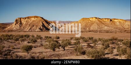 Weite Landschaft der Tabernas Wüste Almeria Spanien Natur Abenteuer Reisen Sie Nach Europa Stockfoto