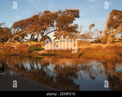 Sonnenuntergang in Pismo Beach in der Nähe des Ozeans Stockfoto