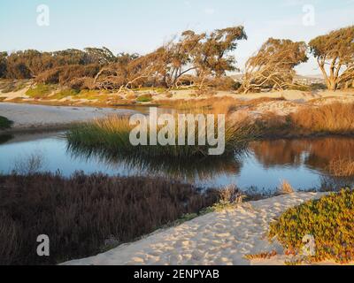 Sonnenuntergang in Pismo Beach in der Nähe des Ozeans Stockfoto