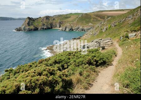 Blick auf den South West Coastal Path von Prawle Point nach Gammon Head, South Devon, Großbritannien. Stockfoto