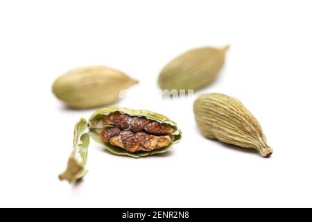 Kardamom Frucht mit offenen Herzen Stockfoto