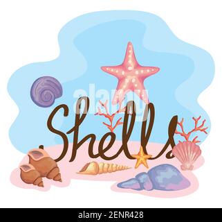 Acht Muschelfarben setzen Szene und Schriftzug Stock Vektor