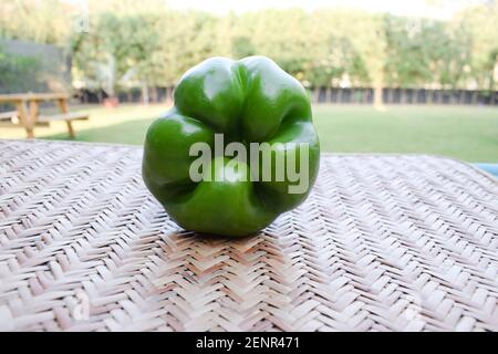 Seitenansicht von Green Capsicum oder grünem Paprika auf weißem Hintergrund. Asiatische Bio frisch kurze Art von shimla mirch Gemüse Stockfoto