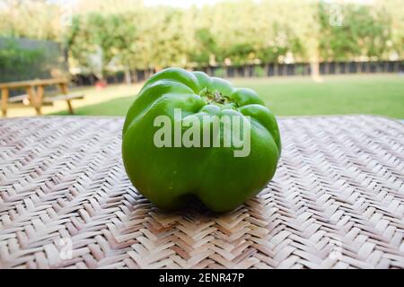 Seitenansicht von Green Capsicum oder grünem Paprika auf weißem Hintergrund. Asiatische Bio frisch kurze Art von shimla mirch Gemüse Stockfoto