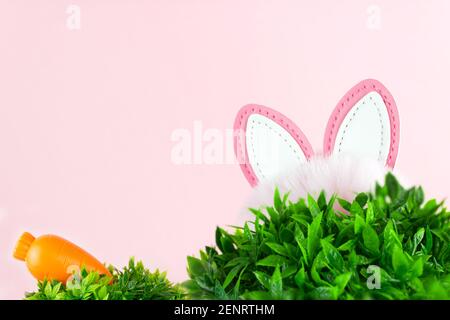 Ohren eines Osterhasen und Karotte über dem Gras Auf rosa Hintergrund Stockfoto