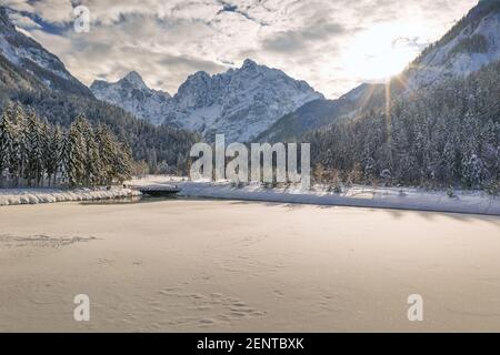 Luftaufnahme des Sees Jasna in Kranjska gora. Drohne bewegt sich über Tal mit schneebedeckten Kiefernwald. Stockfoto