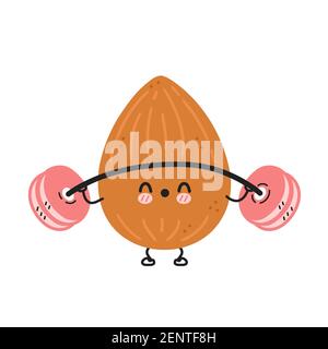 Nette lustige Mandel machen Turnhalle mit Langhantel. Vektor flache Linie Cartoon kawaii Figur Illustration Symbol. Isoliert auf weißem Hintergrund. Almond Workout Charakter Konzept Stock Vektor