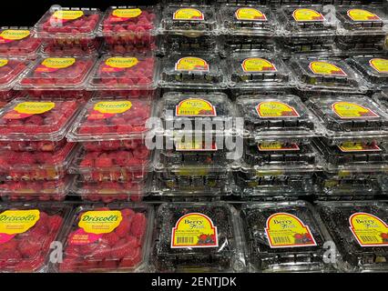 Pico - Robertson, CA USA - Jan 20, 2021: Nahaufnahme der Plastikverpackung Driscoll's Himbeeren und Berry Fresh Brombeeren auf dem Regal in Ra Stockfoto