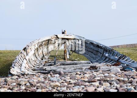 Holzskelett eines Schiffbrüchigen Stockfoto