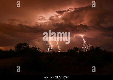 Blitzschlag während des Sommergewitters, in Arizonas Sonoran Wüste. Drei Schrauben erstrecken sich von den Wolken, die durch die Entladung hinterleuchtet sind. Stockfoto