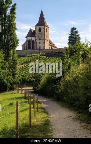 Sommer Sonnenuntergang Ansicht der mittelalterlichen Kirche von Saint-Jacques-le-Major in Hunawihr, kleines Dorf zwischen den Weinbergen von Ribeauville, Riquewihr und Col Stockfoto