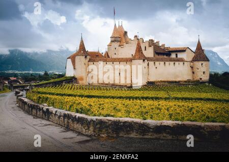 Chateau de Aigle, kleines Winzerdorf in den schweizer alpen, mit dem mittelalterlichen Schloss, das aus den grünen Sommerreihen der nahe gelegenen Weinberge und Stockfoto