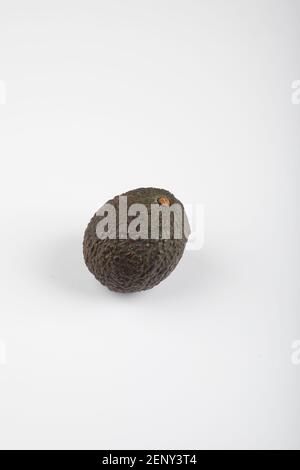 Eine frische gesunde braune Avocado isoliert auf weiß-grauem Hintergrund Stockfoto