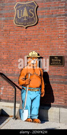 Smokey Bär Maskottchen Abbildung auf der Vorderseite des US Forest Service Gebäude in Washington, DC, Vereinigte Staaten von Amerika, USA. Stockfoto