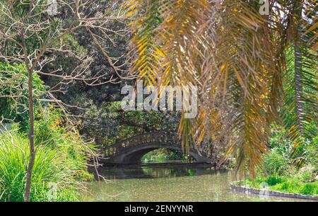 Alte Brücke über den See im Wald. Stockfoto