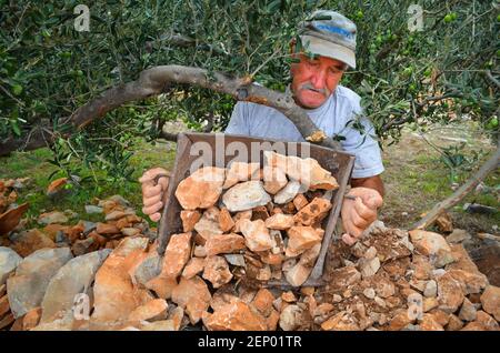 Der Mensch baut an der Steinmauer in der dalmatinischen Inselregion Kroatiens. Stockfoto