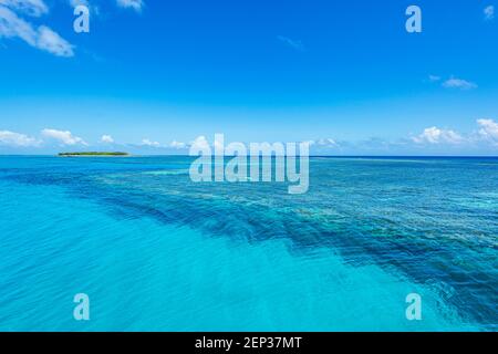 Türkisfarbenes Korallenriff auf Lady Musgrave Island, Southern Great Barrier Reef, Queensland, QLD, Australien Stockfoto