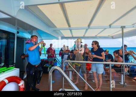Ein Tauchlehrer lehrt Touristen während einer Tour zur Lady Musgrave Insel, zum Southern Great Barrier Reef, Queensland, QLD, Australien, wie man einen Schnorchel benutzt Stockfoto