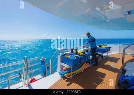 Die Crew bereitet sich auf das Schnorcheln der Touristen an Bord des Lady Musgrave Experience Tourboots, Southern Great Barrier Reef, Bundaberg, Quee vor Stockfoto