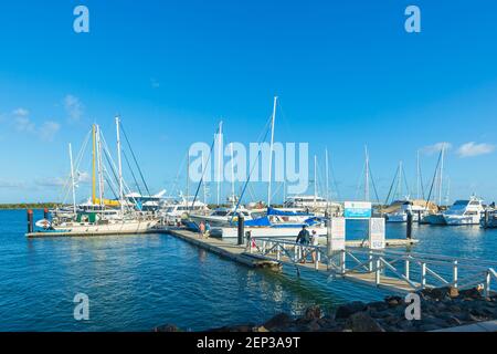 Touristen, die einen Tagesausflug nach Lady Musgrave Island, Southern Great Barrier Reef, Queensland, QLD, Australien machen Stockfoto