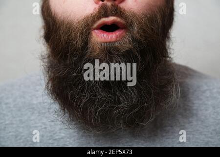 Hochformat. Der offene Mund eines bärtigen Mannes. Bärtiger Mann wundert sich, Nahaufnahme. Die Lippen eines Mannes. Dickes, langes Barthaar aus nächster Nähe. Stockfoto