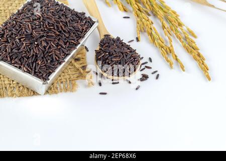 Reisbeere auf weißem Hintergrund. Nahaufnahme rohe lila Reisbeere in Schüssel auf weißem Hintergrund Stockfoto