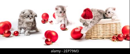 Weihnachten Kätzchen im Korb Stockfoto
