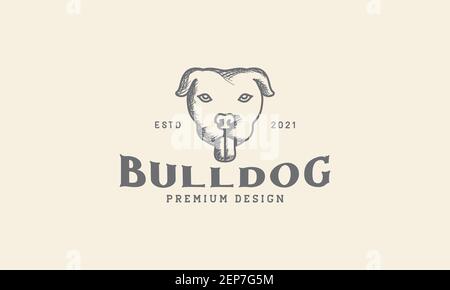 Tier Haustiere Hund American Pit Bull Terrier Kopf vintage Logo Design Vektor Symbol Symbol Grafik Illustration Stock Vektor