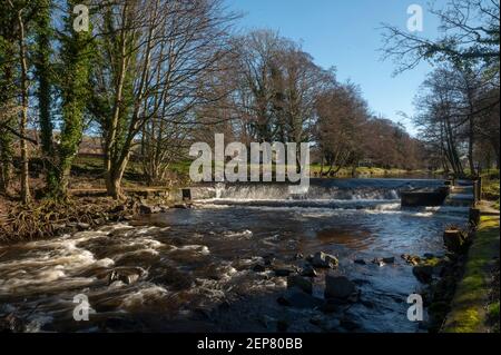 Wooler, Northumberland, Großbritannien. Februar 2021, 26th. UK Wetter, Frühlingsfarbe EIN Blick auf das Wooler Wasser, ein kleiner Fluss, der durch die Stadt Wooler in Northumberland, England, Großbritannien fließt. Wooler, Northumberland, Großbritannien. Februar 2021, 26th. UK Wetter, Frühlingsfarbe EIN Blick auf das Wooler Wasser, ein kleiner Fluss, der durch die Stadt Wooler in Northumberland, England, Großbritannien fließt. Kredit: phil wilkinson/Alamy Live Nachrichten Wooler, Northumberland, Großbritannien. Februar 2021, 26th. UK Wetter, Frühlingsfarbe EIN Blick auf das Wooler Wasser, ein kleiner Fluss, der durch die Stadt Wooler in Northumberland, England, Großbritannien fließt. Kredit: phil wilki Stockfoto