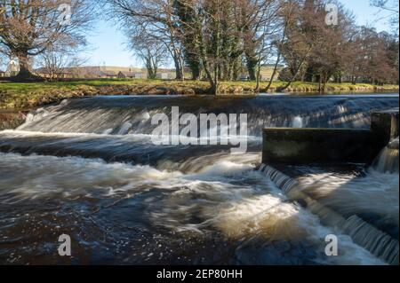 Wooler, Northumberland, Großbritannien. Februar 2021, 26th. UK Wetter, Frühlingsfarbe EIN Blick auf das Wooler Wasser, ein kleiner Fluss, der durch die Stadt Wooler in Northumberland, England, Großbritannien fließt. Wooler, Northumberland, Großbritannien. Februar 2021, 26th. UK Wetter, Frühlingsfarbe EIN Blick auf das Wooler Wasser, ein kleiner Fluss, der durch die Stadt Wooler in Northumberland, England, Großbritannien fließt. Kredit: phil wilkinson/Alamy Live Nachrichten Wooler, Northumberland, Großbritannien. Februar 2021, 26th. UK Wetter, Frühlingsfarbe EIN Blick auf das Wooler Wasser, ein kleiner Fluss, der durch die Stadt Wooler in Northumberland, England, Großbritannien fließt. Kredit: phil wilki Stockfoto