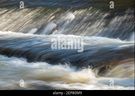 Wooler, Northumberland, Großbritannien. Februar 2021, 26th. UK Wetter, Frühlingsfarbe EIN Blick auf das Wooler Wasser, ein kleiner Fluss, der durch die Stadt Wooler in Northumberland, England, Großbritannien fließt. Wooler, Northumberland, Großbritannien. Februar 2021, 26th. UK Wetter, Frühlingsfarbe EIN Blick auf das Wooler Wasser, ein kleiner Fluss, der durch die Stadt Wooler in Northumberland, England, Großbritannien fließt. Kredit: phil wilkinson/Alamy Live Nachrichten Wooler, Northumberland, Großbritannien. Februar 2021, 26th. UK Wetter, Frühlingsfarbe EIN Blick auf das Wooler Wasser, ein kleiner Fluss, der durch die Stadt Wooler in Northumberland, England, Großbritannien fließt. Kredit: phil wilki Stockfoto